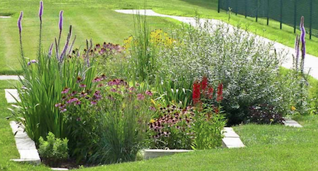 Community Program: Learn to Build a Rain Garden